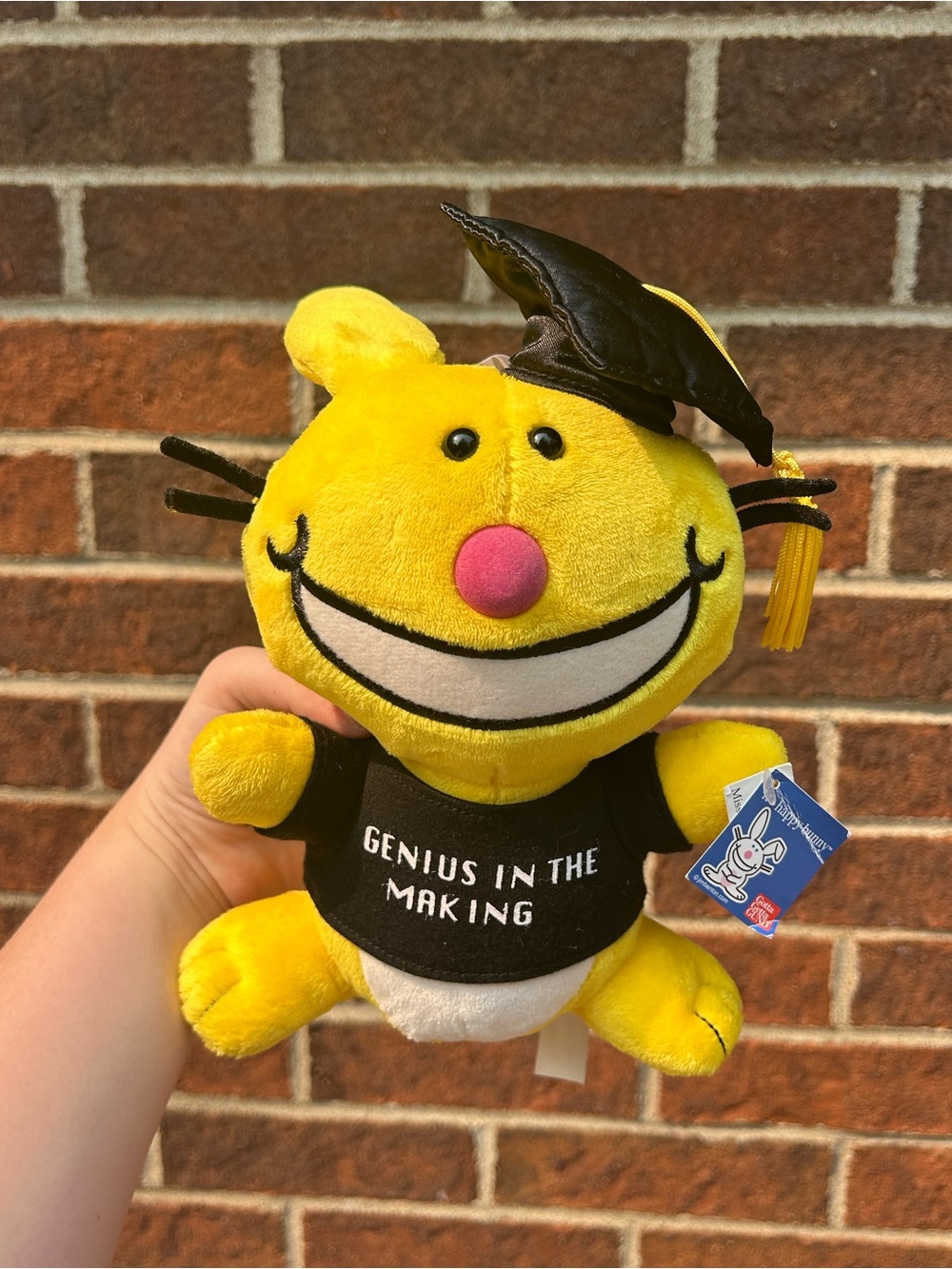 Happy Bunny graduate plush